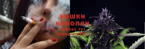 эйфоретик Пестово