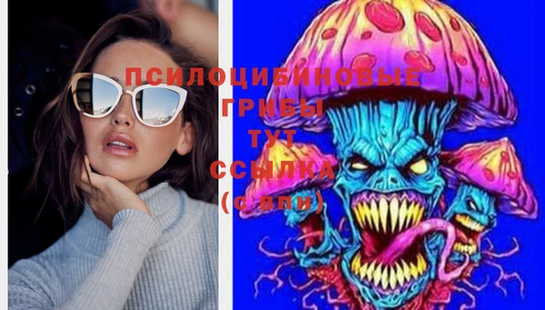 бошки Гвардейск
