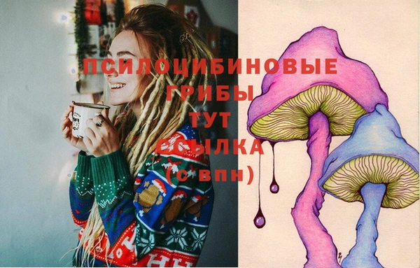 бошки Гвардейск