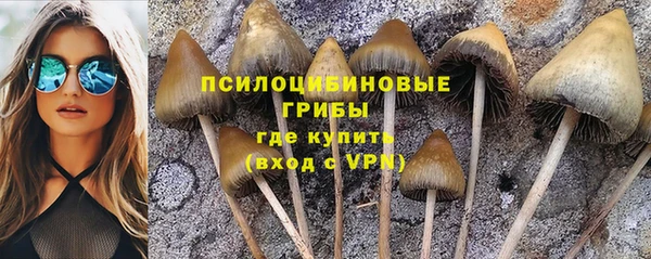 амф Переславль-Залесский