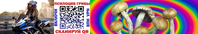 Псилоцибиновые грибы Cubensis  ссылка на мегу ONION  Пудож  купить наркотики сайты 