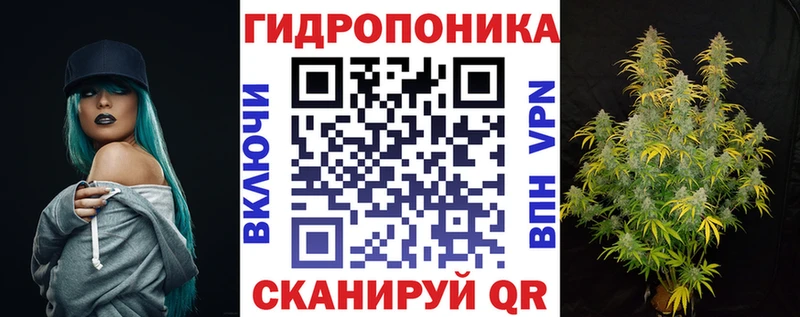 Бошки Шишки MAZAR  даркнет какой сайт  Пудож  сколько стоит 