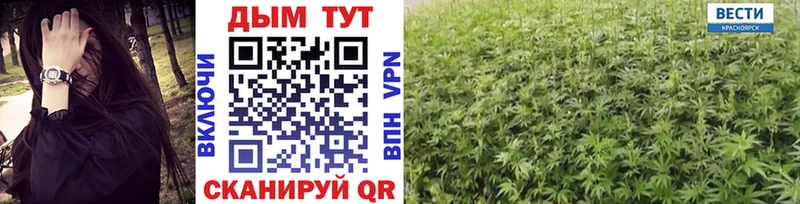 Марихуана индика Пудож
